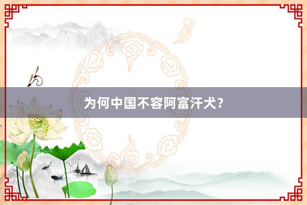 为何中国不容阿富汗犬？