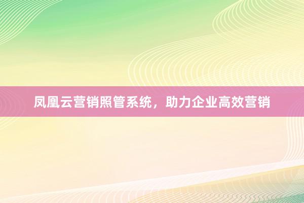 凤凰云营销照管系统，助力企业高效营销