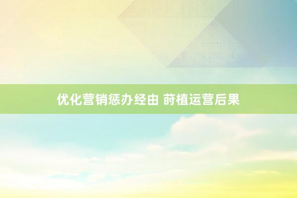 优化营销惩办经由 莳植运营后果